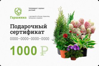 Подарочный сертификат интернет-магазина «Гаршинка.ру» номиналом 1000 рублей