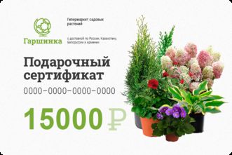 Подарочный сертификат интернет-магазина «Гаршинка.ру» номиналом 15000 рублей