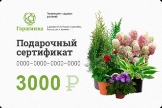 Подарочный сертификат интернет-магазина «Гаршинка.ру» номиналом 3000 рублей