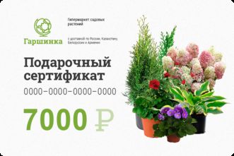 Подарочный сертификат интернет-магазина «Гаршинка.ру» номиналом 7000 рублей
