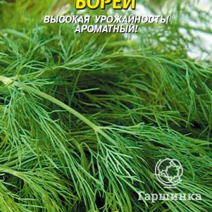 Семена Укроп Борей, 1,5-2 гр, Плазменные семена