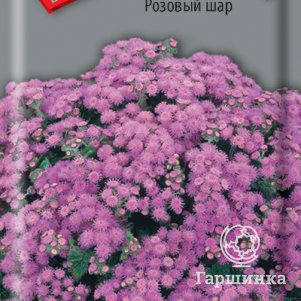 Семена Агератум Розовый шар 0,1 - фото 1