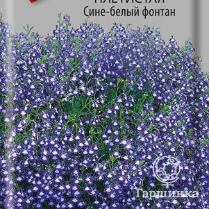 Семена Лобелия плетистая Сине-белый фонтан 0,1 - фото 1