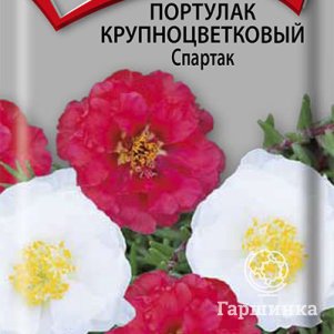 Семена Портулак крупноцветковый Спартак 0,1 - фото 1