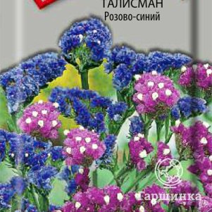 Семена Статица Талисман Розово-синий 0,1 - фото 1