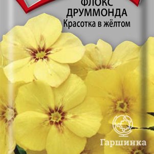 Семена Флокс друммонда Красотка в желтом 0,1 - фото 1
