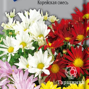 Семена Хризантема Корейская смесь 0,05 - фото 1
