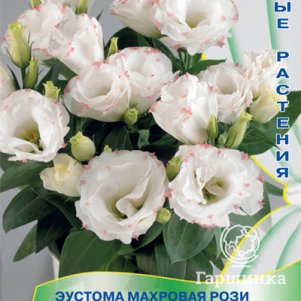 Семена Эустома махровая Рози Бело-розовая 5